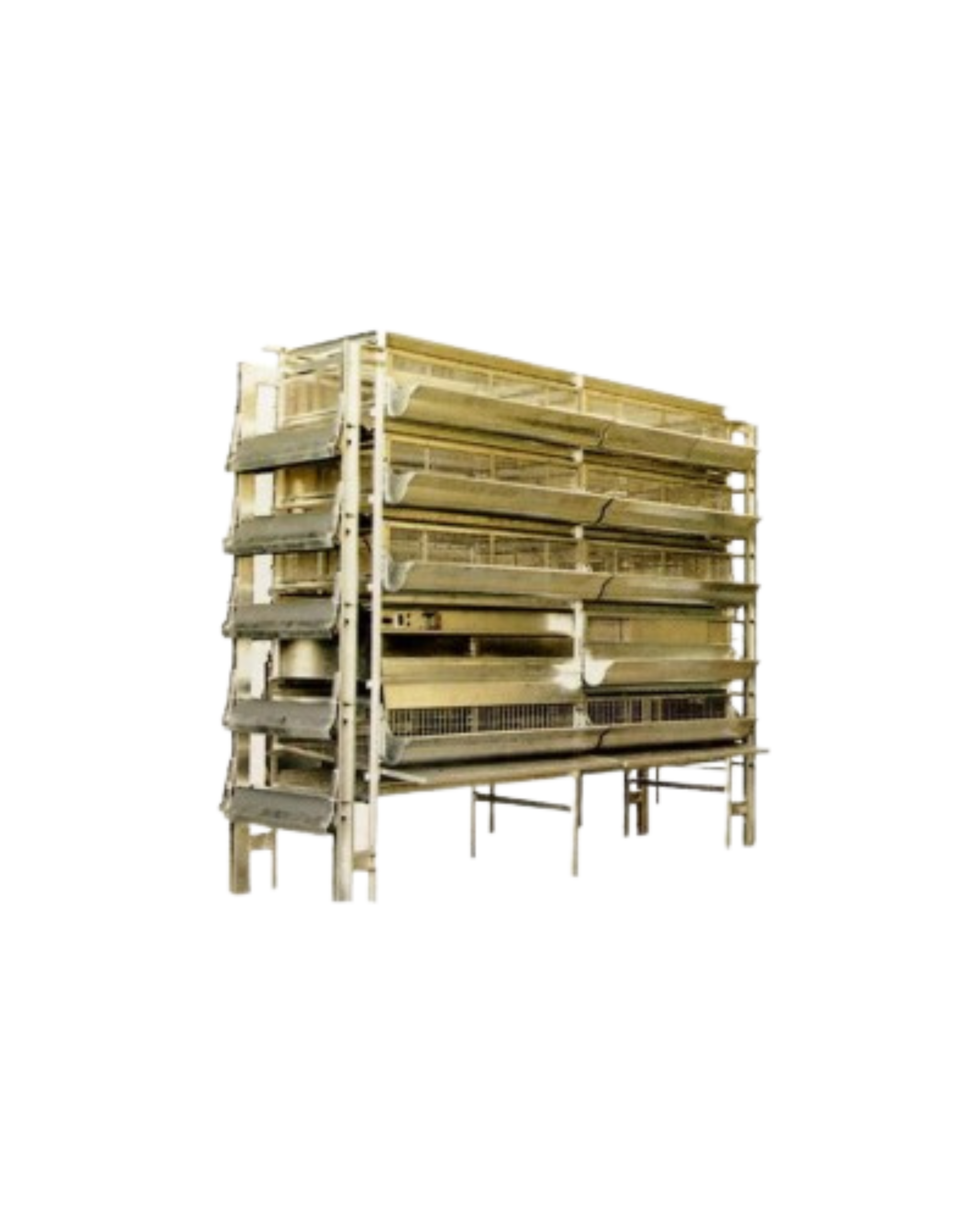 batterie familiale pour cailles derycke
