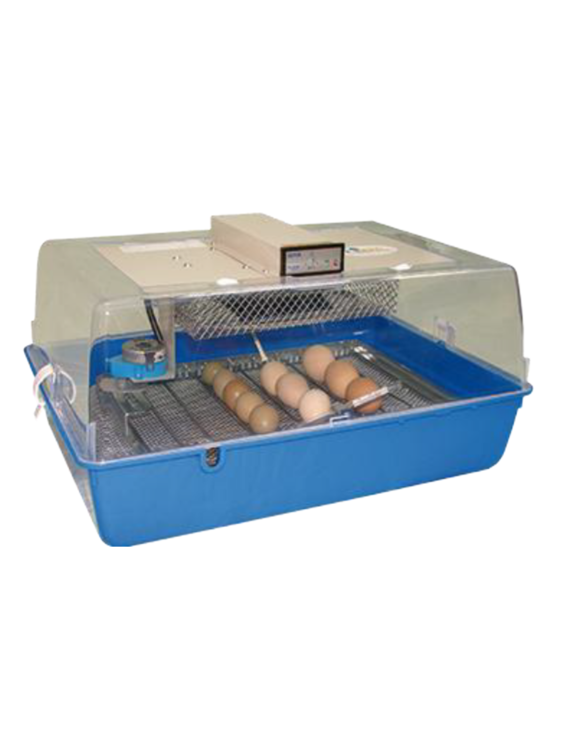 Accouvage couveuse inca 50 oeufs derycke