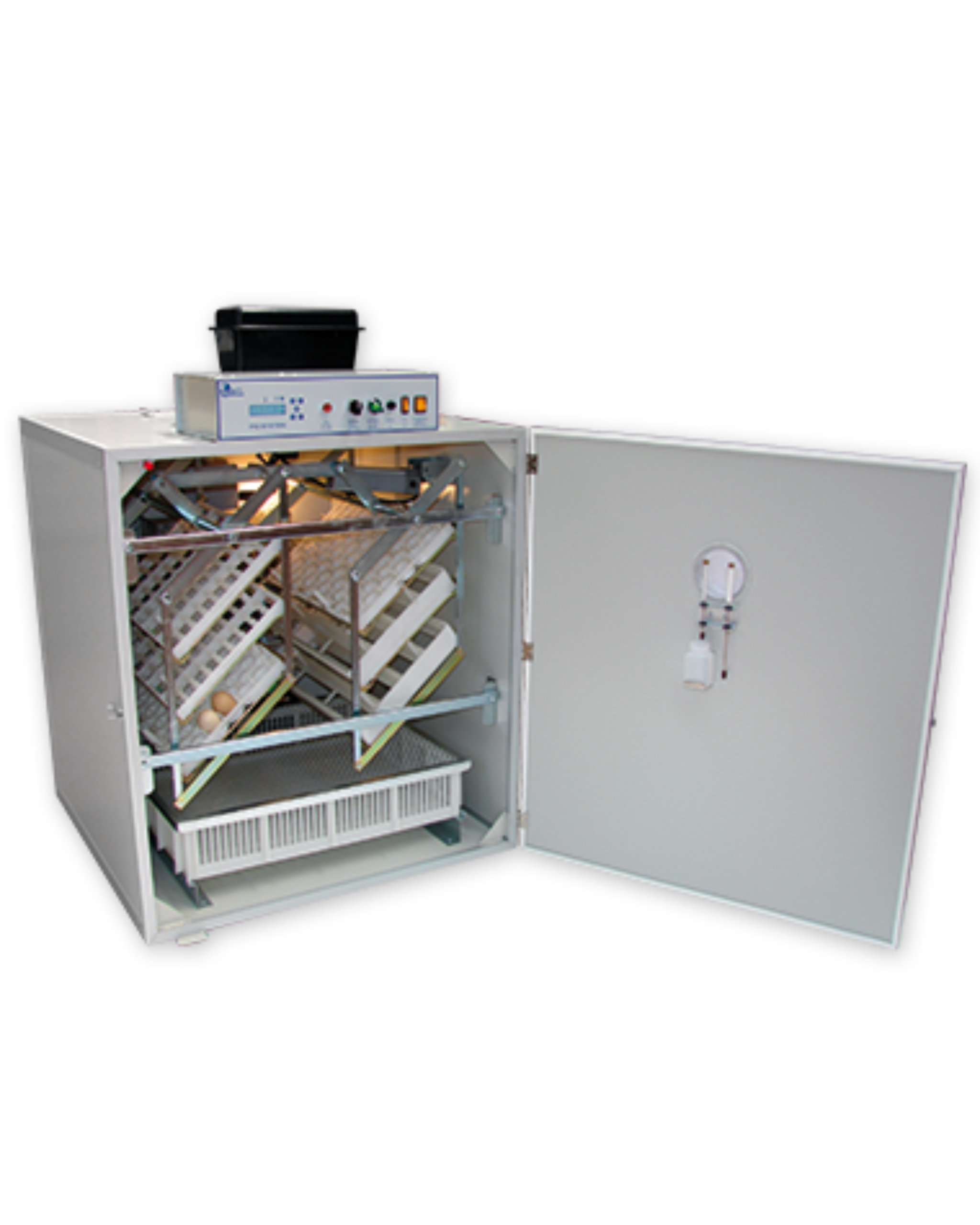 Accouvage couveuse jupiter 576 oeufs derycke