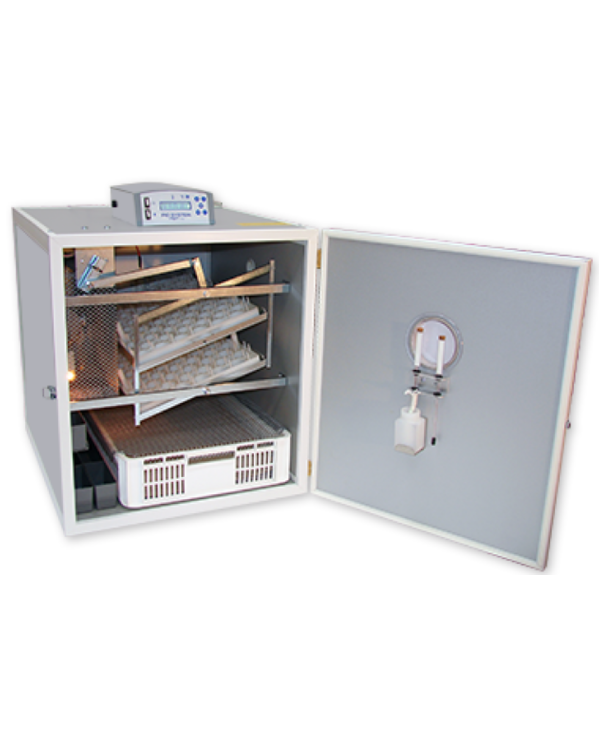 Accouvage couveuse mercurius 244 oeufs derycke
