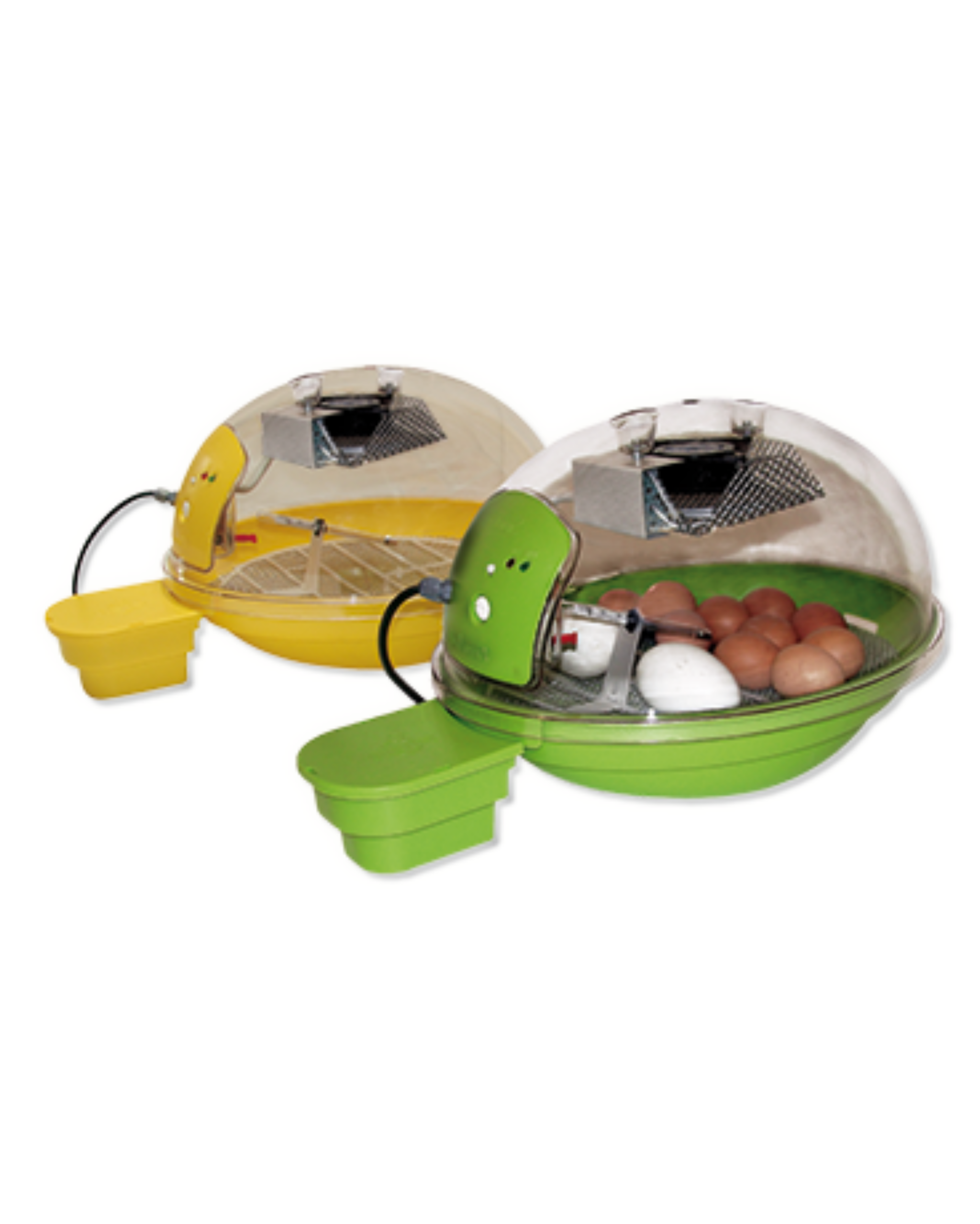 Accouvage couveuse smart 18 oeufs derycke