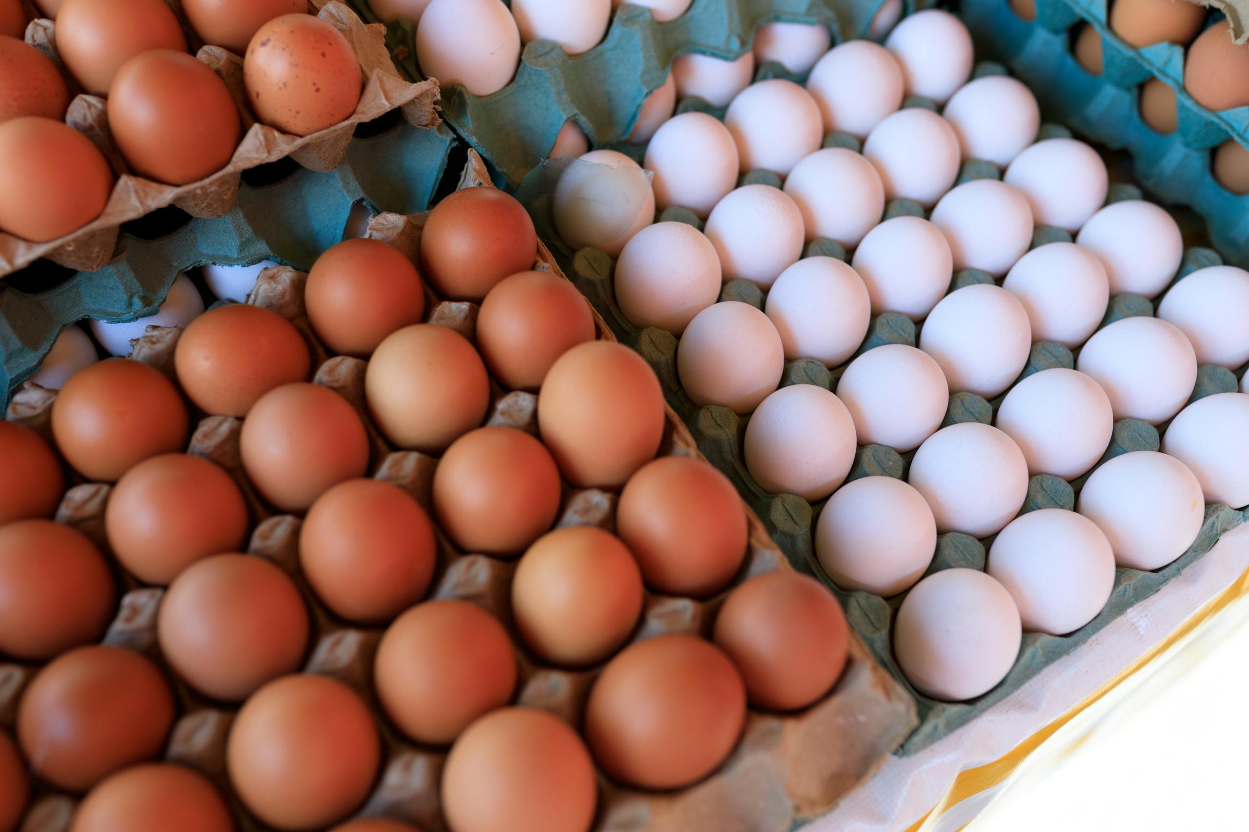 Close-up of brown and white eggs arranged in cartons, showcasing variety.
