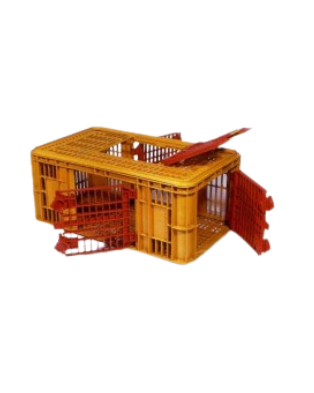 conditionnement derycke caisse maxi carfed