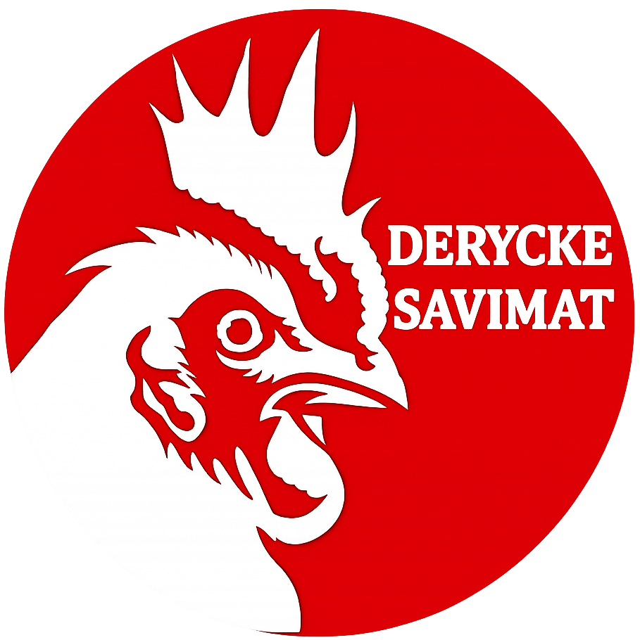 logo derycke transparent