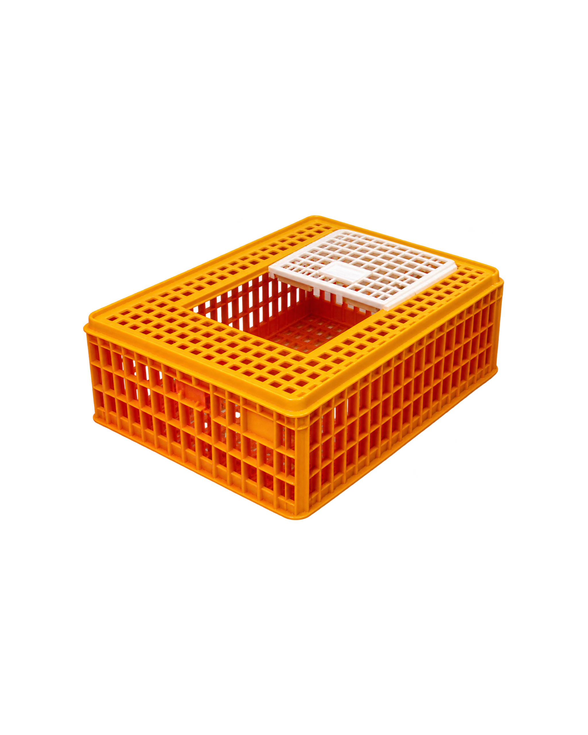 de rycke caiss mini piedmont